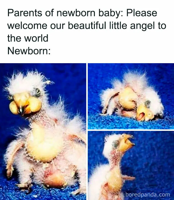 50 Memes That New Moms And Dads Might Find Incredibly Relatable