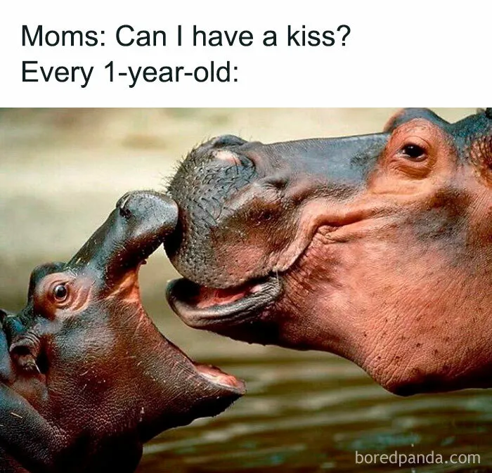 50 Memes That New Moms And Dads Might Find Incredibly Relatable