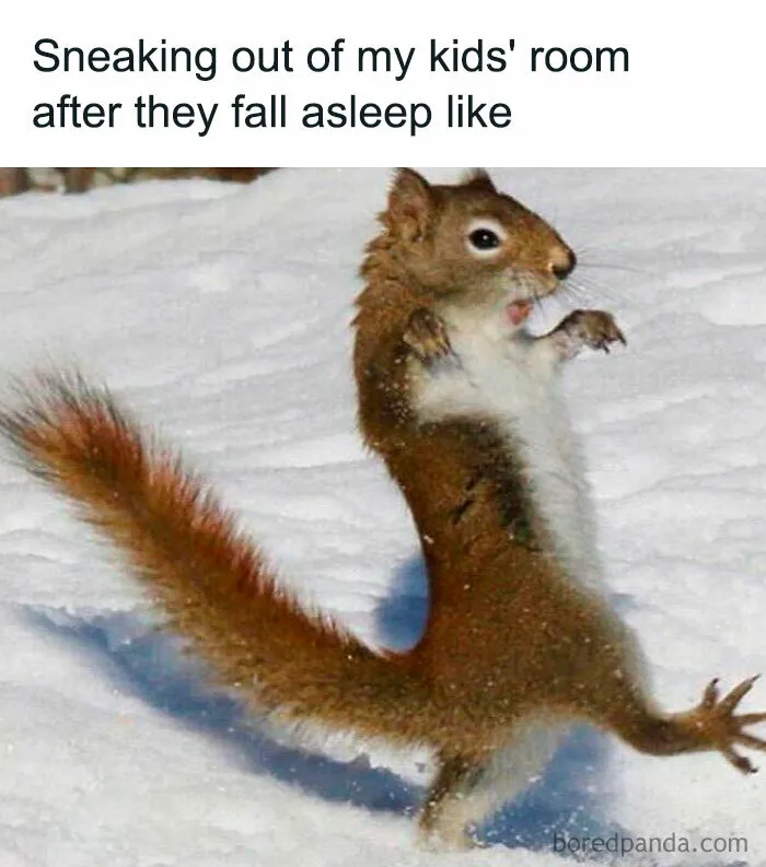 50 Memes That New Moms And Dads Might Find Incredibly Relatable