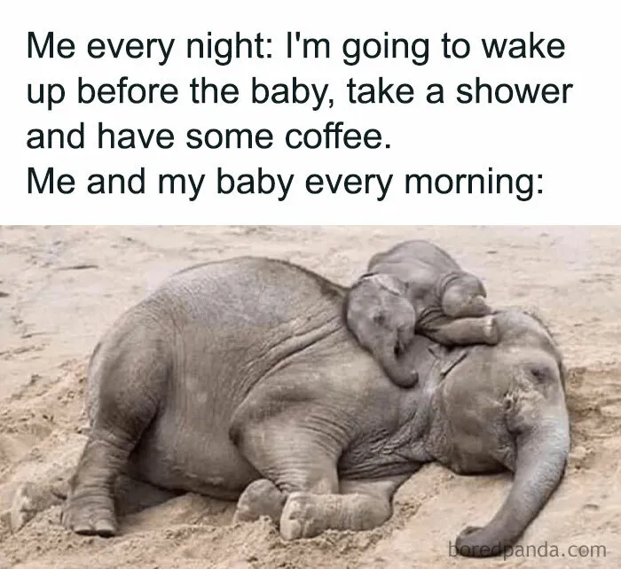 50 Memes That New Moms And Dads Might Find Incredibly Relatable