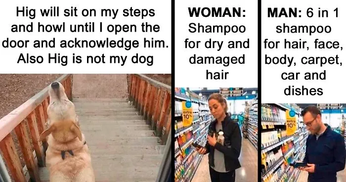 50 Hilariously Random Memes About Everything And Anything