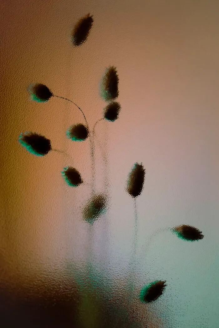 My 11 Photos Capturing The Essence Of Stillness