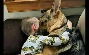 50 Positive And Uplifting Pics From The “Wholesome Meets The Internet” Page