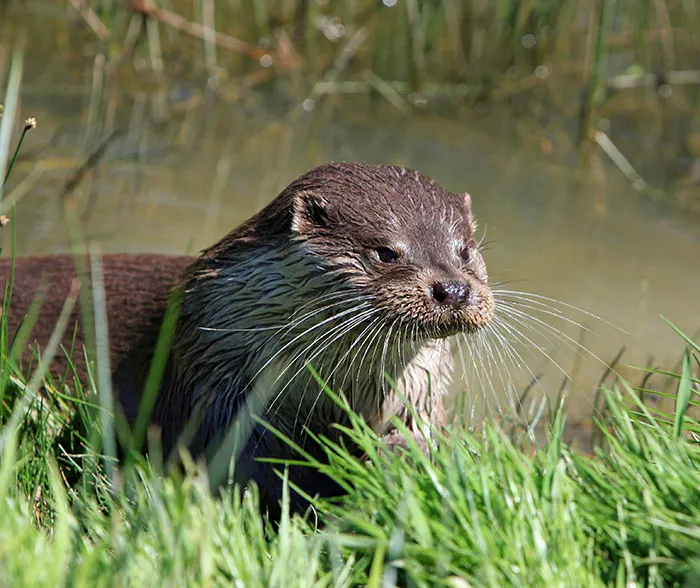 30 Interesting Facts To Intrigue The Ever-Curious
