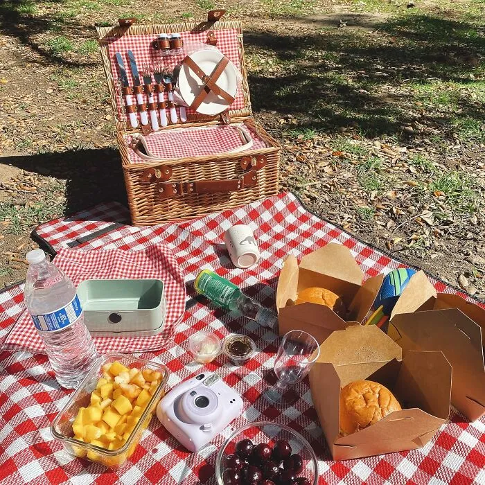 Create Lasting Memories And Enjoy Delicious Meals Under The Sun With A Stylish And Functional <a Style="Display:inline;" Href="Https://Www.amazon.com/Dp/B0cmgfnws8?ascsubtag=&th=1&linkcode=ll1&tag=bplemur-20&linkid=33771f6a3414006a5a663fd0d0e95fd4&language=en_us&ref_=as_li_ss_tl"_blank"><span Style="Font: Inherit; Color: #d74b1f;"> Picnic Basket Set</Span>, Your Ultimate Companion For Outdoor Dining