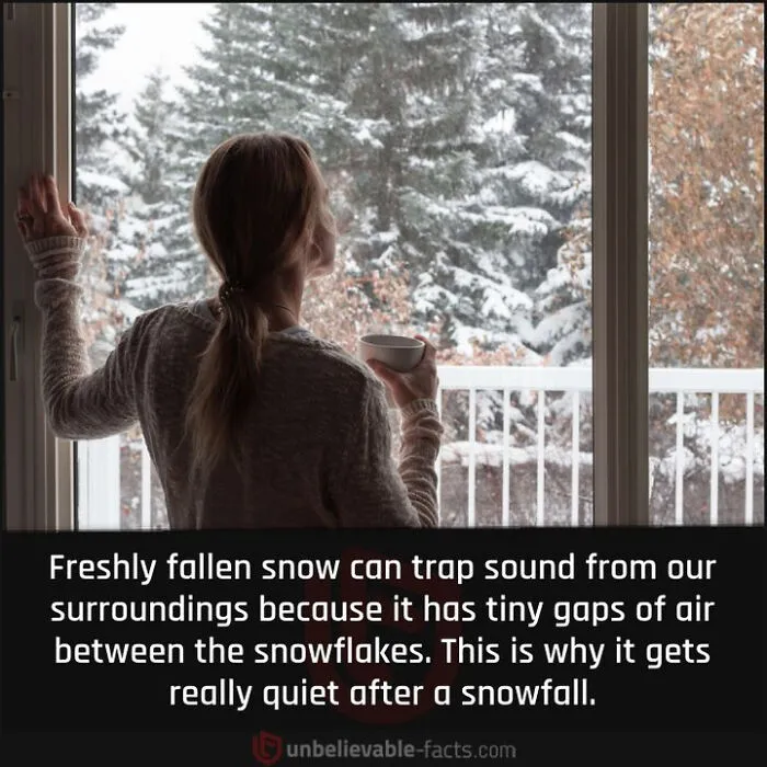 50 True Interesting Facts About Random Things, Shared By This Facebook Page