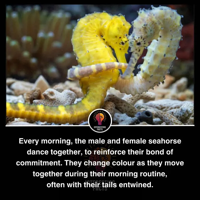 50 True Interesting Facts About Random Things, Shared By This Facebook Page