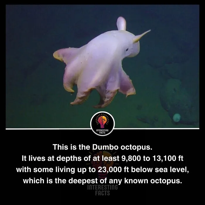 50 True Interesting Facts About Random Things, Shared By This Facebook Page