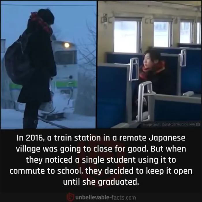 50 True Interesting Facts About Random Things, Shared By This Facebook Page