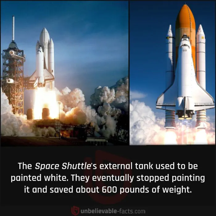 50 True Interesting Facts About Random Things, Shared By This Facebook Page