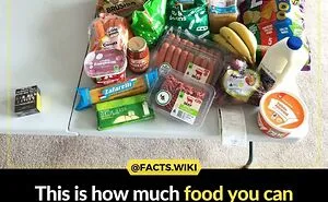 50 True Interesting Facts About Random Things, Shared By This Facebook Page