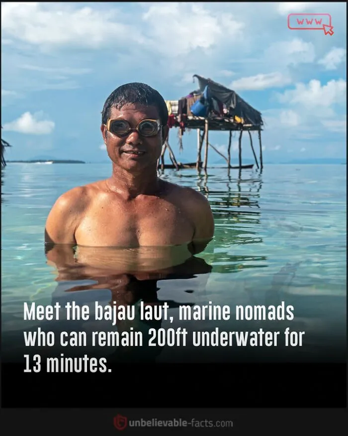 50 True Interesting Facts About Random Things, Shared By This Facebook Page