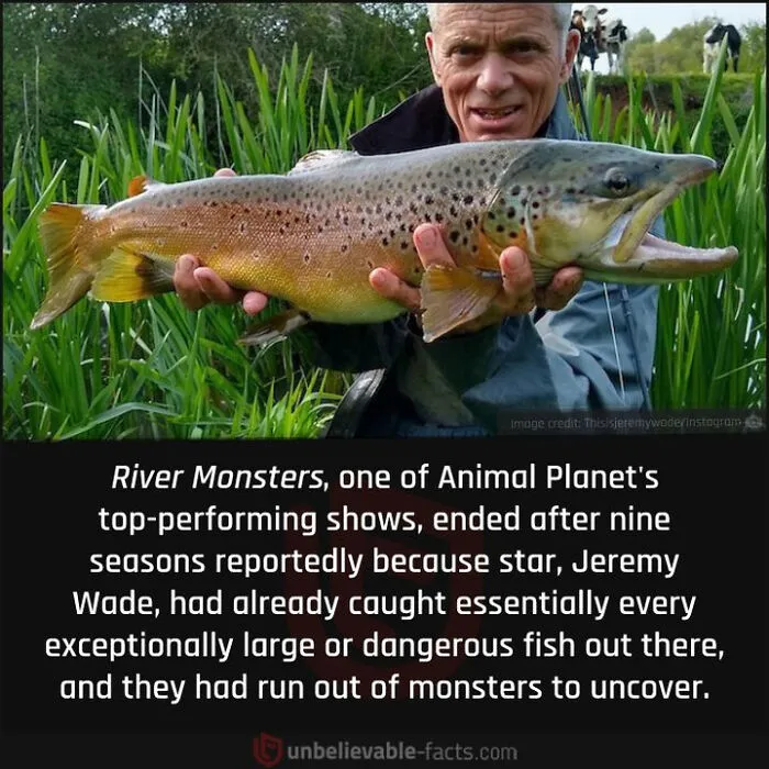 50 True Interesting Facts About Random Things, Shared By This Facebook Page