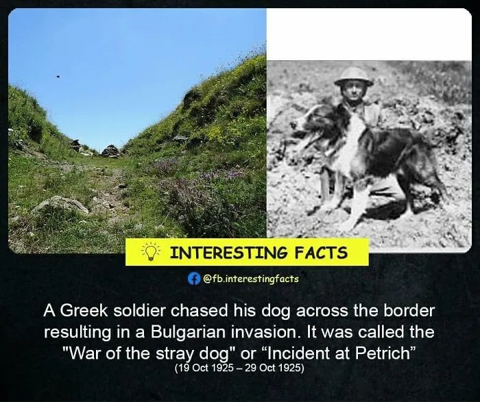 50 True Interesting Facts About Random Things, Shared By This Facebook Page