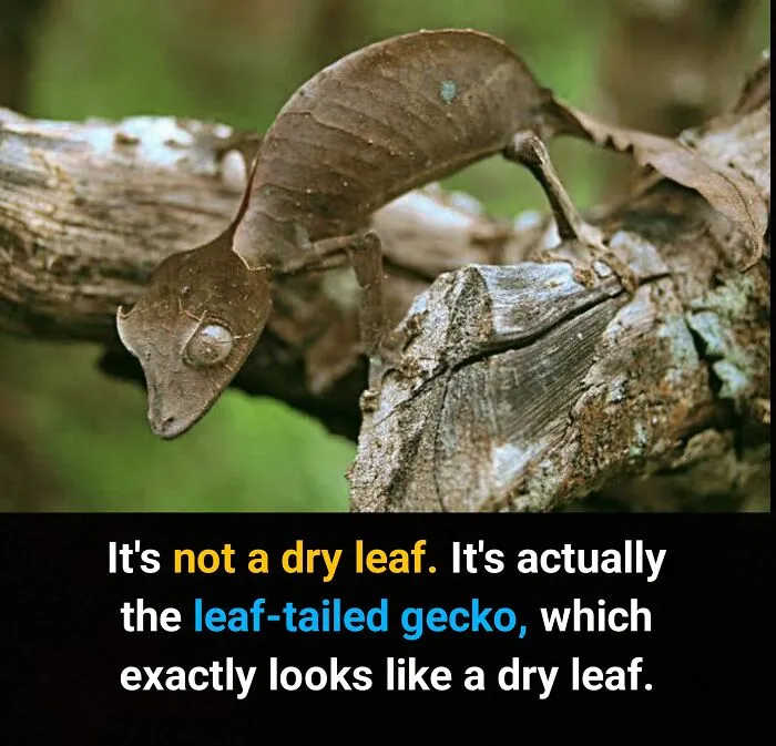 50 True Interesting Facts About Random Things, Shared By This Facebook Page