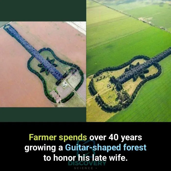 50 True Interesting Facts About Random Things, Shared By This Facebook Page