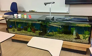 50 Ingenious Things Students Have Spotted At Their Schools And Universities (New Pics)