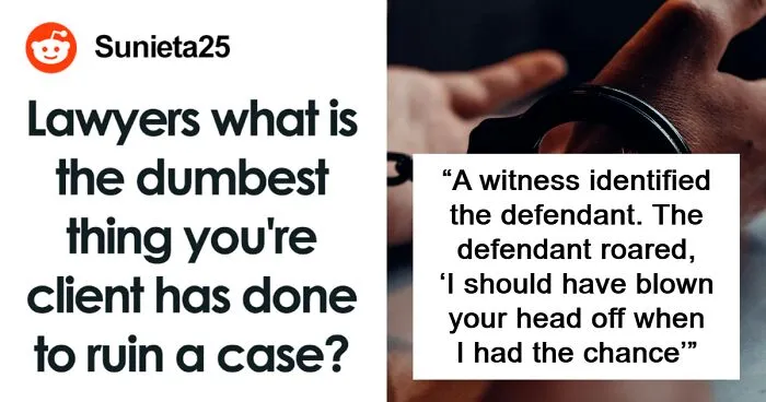 45 Times Lawyers Lost A Case Because Of Their Clients Saying Or Doing The Dumbest Things