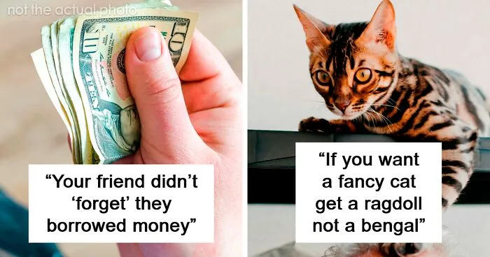 “10/10 Highly Recommend”: People Share Their 50 Best Tips That Improved Their Lives