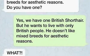 50 Of The Most Savage Responses People Had To Jerks (Best Of All Time)