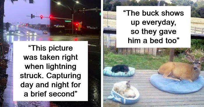 50 Photos To Slightly Amuse and Intrigue You, As Shared On This Instagram Page