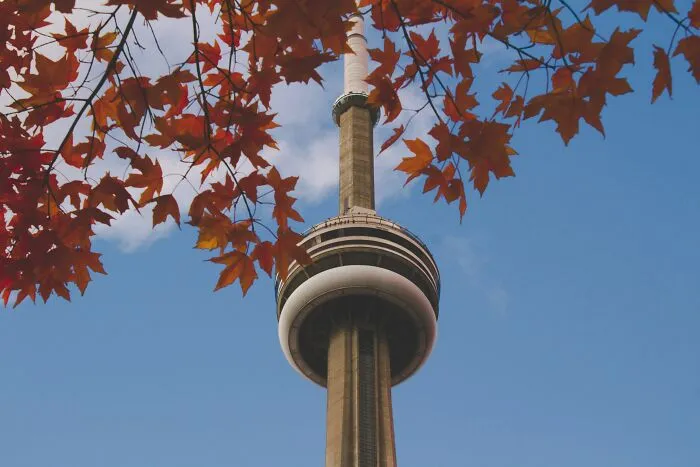 24 Canadians List Most Common Signs That Show Them Someone Is A Tourist
