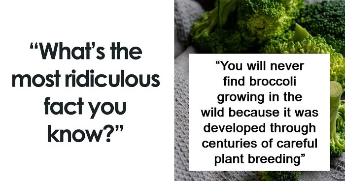 “Your Brain Just Ignores It”: 50 People Share The Most Ridiculous Fact They Know