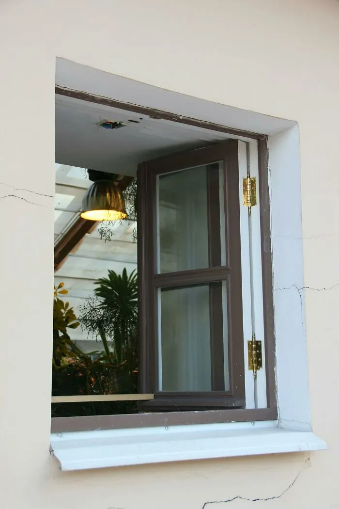 Open window reflecting interior plants, embodying dad humor.