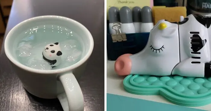 You Won't Believe These 41 Weird Things Actually Exist (But They Do, And You Need Them)