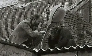34 Interesting And Rare Historical Pictures That Might Teach You Something New About Our Past