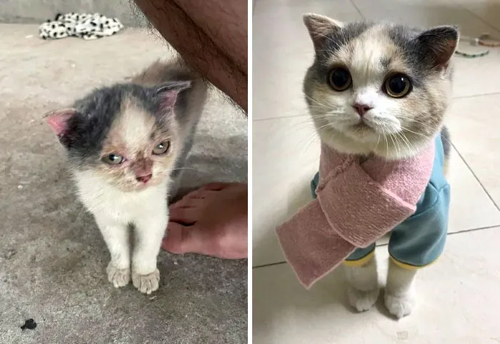 My Princess Before And After 6 Months Of Adoption