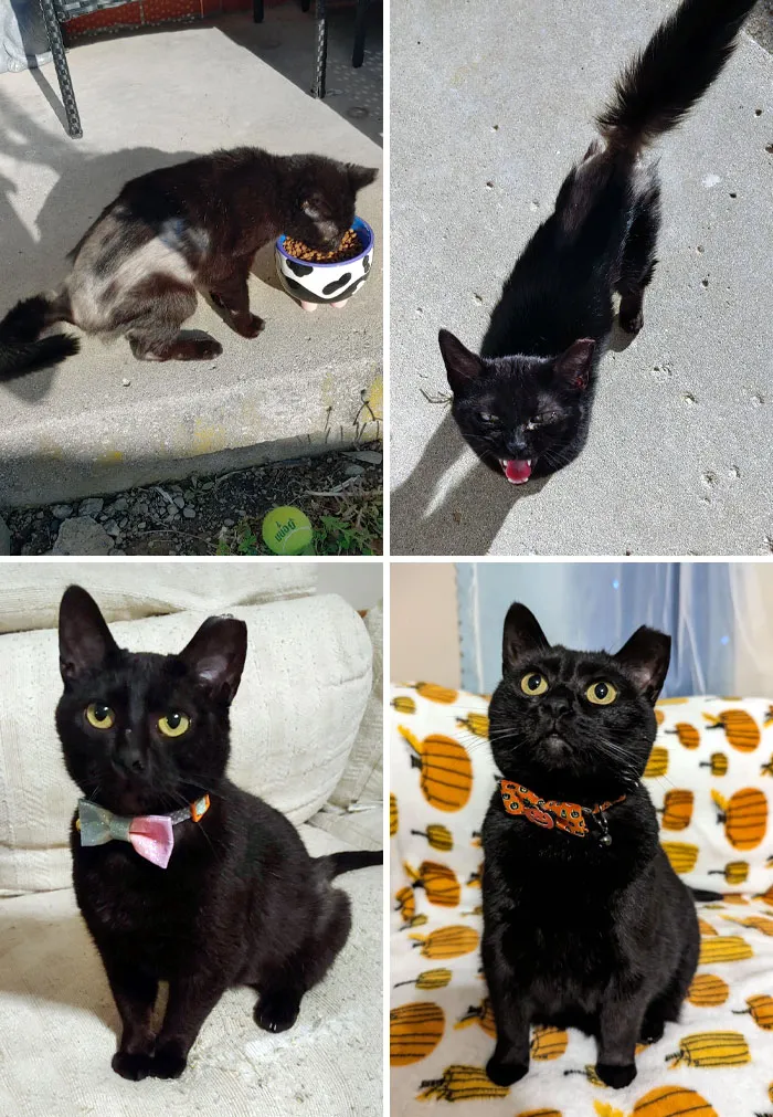 Nebula Found Me About Two Years Ago, And I'm So Happy She Did. Before And After