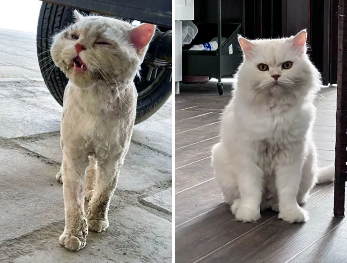 One Year Of Good Care And Love