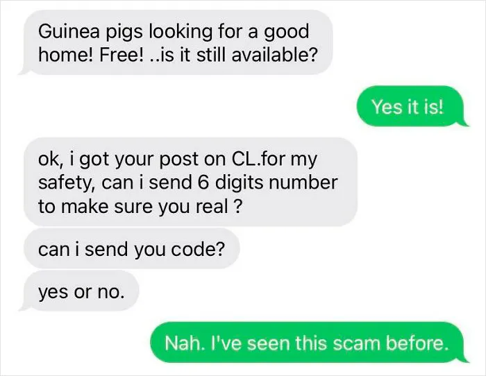 Got This Yesterday. I Just Want To Rehome Some Guinea Pigs, Not Looking For This Nonsense