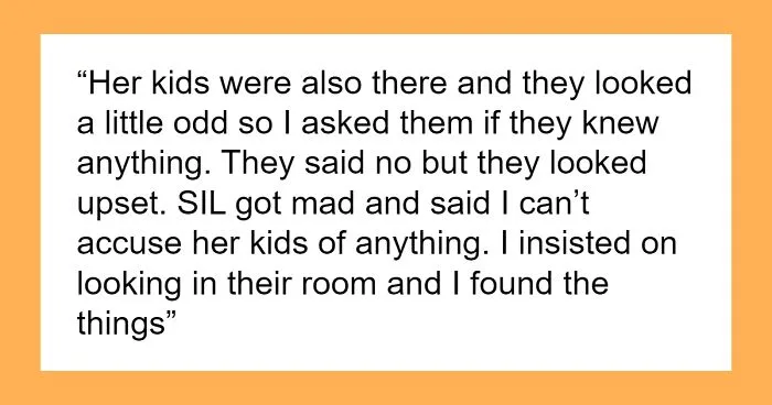 Niblings Steal Woman’s Keepsakes Because They Look ‘Cool’, SIL Tells Her To Not Make A Big Deal