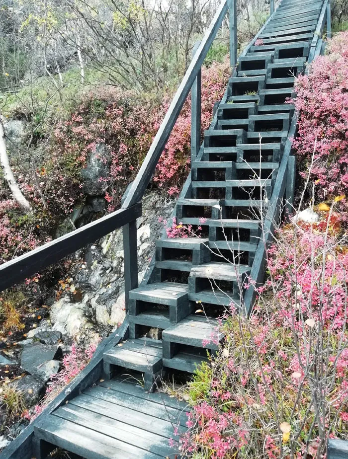 These Weird Stairs I Found On A Hiking Trail