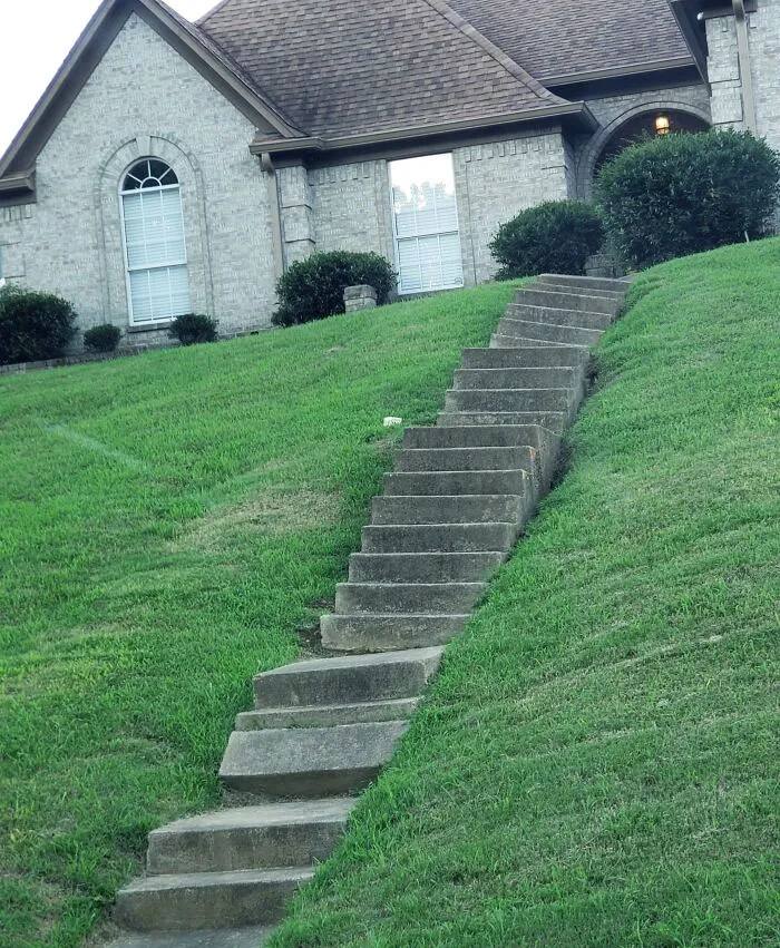They Don't Like Visitors I Suppose