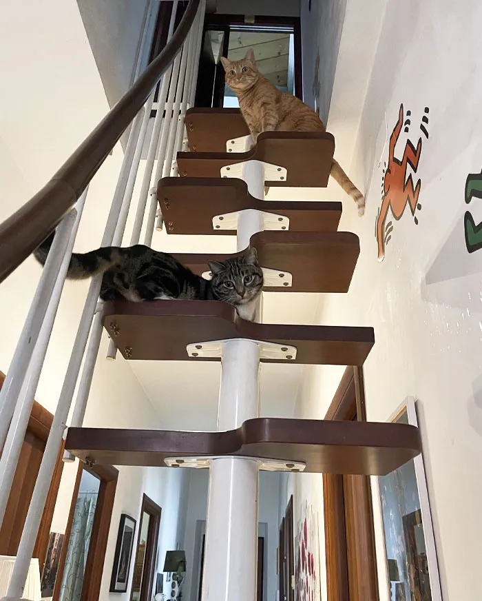 This Staircase In My Home. Architects Told My Parents This Was The Best Solution To Fit The Small Space. After 20 Years, I Still Sometimes Save Myself From Falling Down
