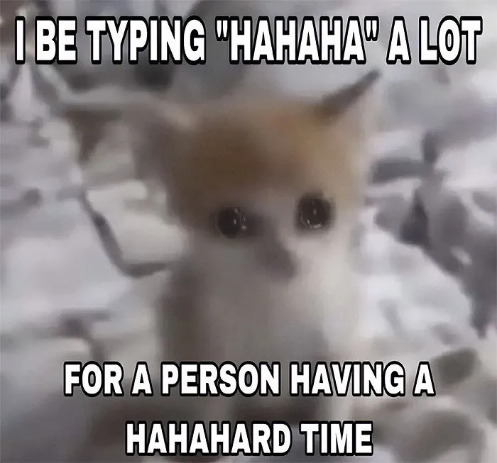 30 Cat Memes That Might Make You Say "That's Literally Me"
