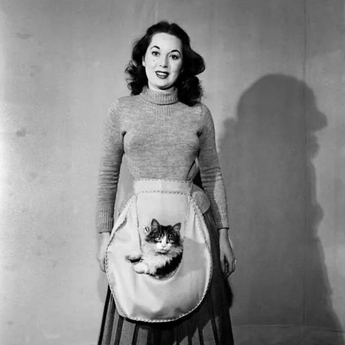 73 Vintage Photos Of Cats That Show Nothing Has Changed In Decades, Collected By This Journalist (New Pics)