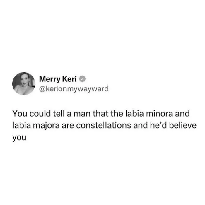 50 Misandrist Memes That Hilariously Call Out Male Entitlement (New Pics)