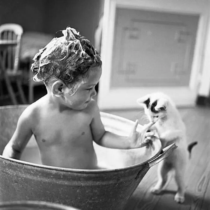 73 Vintage Photos Of Cats That Show Nothing Has Changed In Decades, Collected By This Journalist (New Pics)