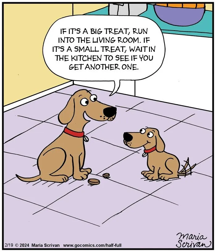 30 Hilarious Comics Featuring Funny Characters And Absurd Situations By This Artist (New Pics)