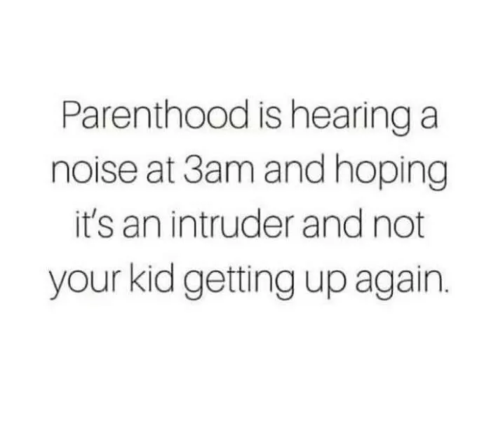 Toddlers Have No Chill: Memes Parents Will Know All Too Well