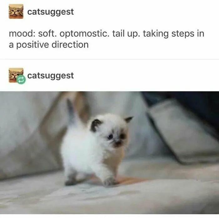 50 Feel-Good Photos To Cheer You Up