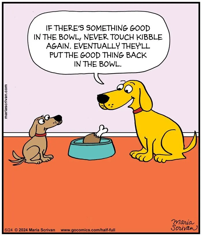 30 Hilarious Comics Featuring Funny Characters And Absurd Situations By This Artist (New Pics)