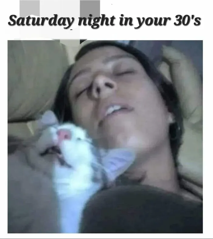 50 Hilarious And Adorable Cat Memes That Prove Why The Internet Loves Them So Much (New Pics)
