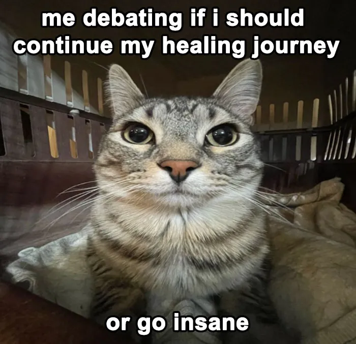 30 Cat Memes That Might Make You Say "That's Literally Me"
