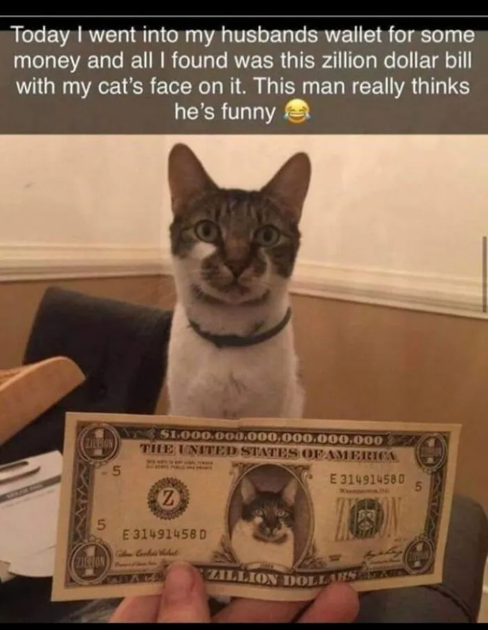 50 Hilarious And Adorable Cat Memes That Prove Why The Internet Loves Them So Much (New Pics)