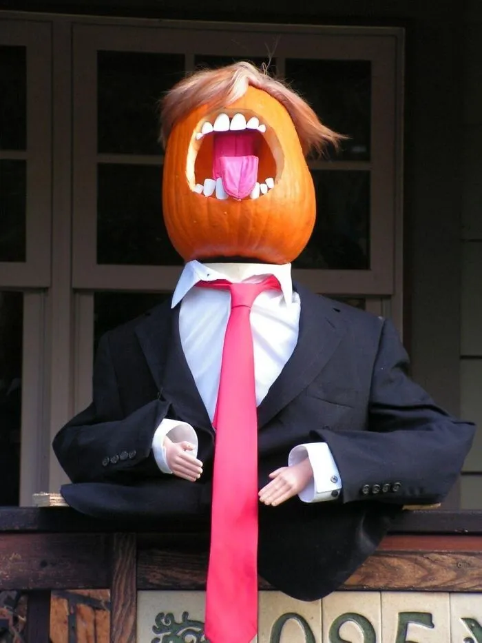Orange You Glad You Bought These <a Style="Display:inline;" Href="Https://Www.amazon.com/Bigmouth-Inc-Sleeves-Political-Novelty/Dp/B00okvjahy?ie=utf8&linkcode=ll1&tag=bporangutan-20&linkid=1098e2d848bd481ffe93821a888b47bf&language=en_us&ref_=as_li_ss_tl" Target="_blank"><span Style="Font:inherit;color:#d74b1f;"> Tiny Plastic  Hands </Span>?